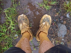 now we are muddy